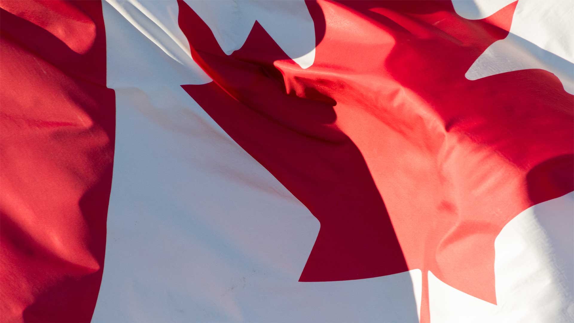 Les Canadiens méritent de connaître la vérité sur les travailleurs de remplacement étrangers